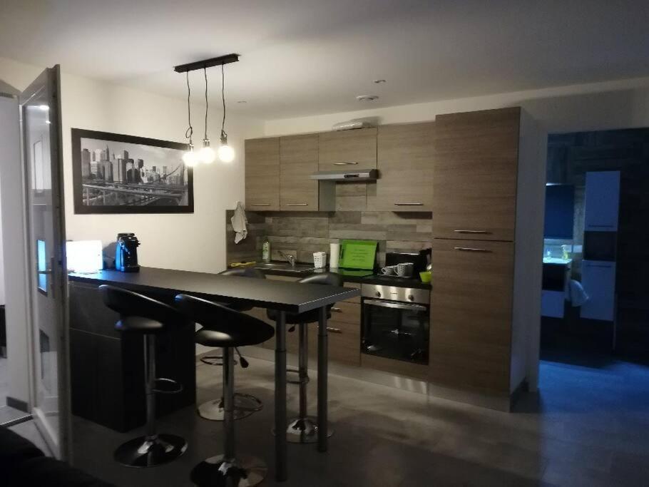 Appartement Spacieux &Tres Calme. Spacious & Very Quiet Apartment. Carros Eksteriør bilde